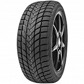 Шины DELINTE Winter WD6
