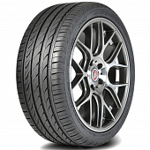 Шины DELINTE DH2