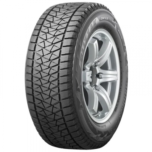 Bridgestone Blizzak DM-V2 255/50 R19 107T