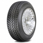 Шины Winter Lander Landsail Winter Lander 245/45 R19 102V